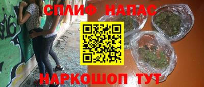 СК Дубна