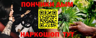 СК Дубна