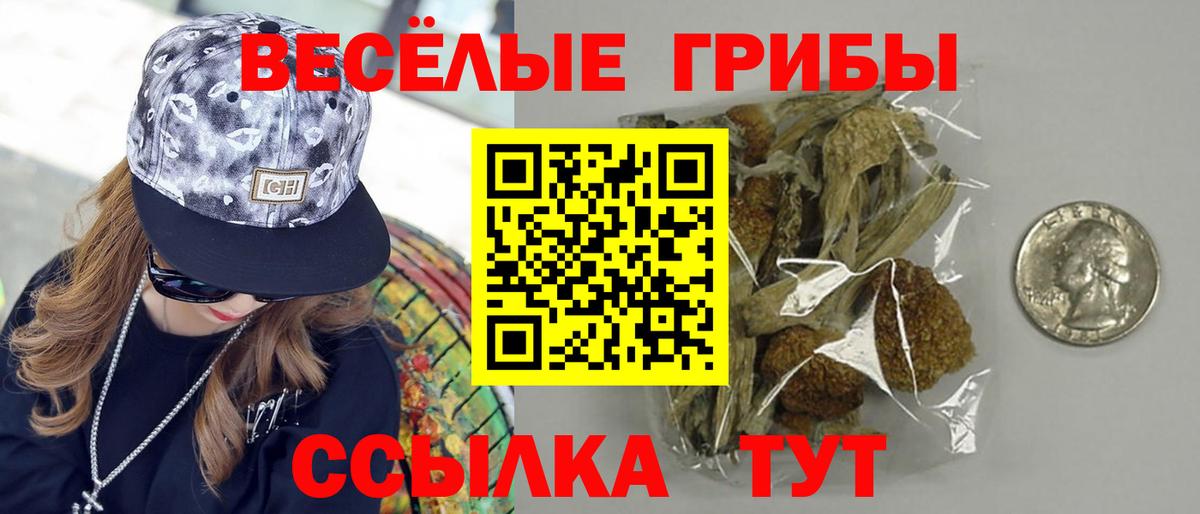 Галлюциногенные грибы Psilocybe  Вход с VPN  Кумертау 