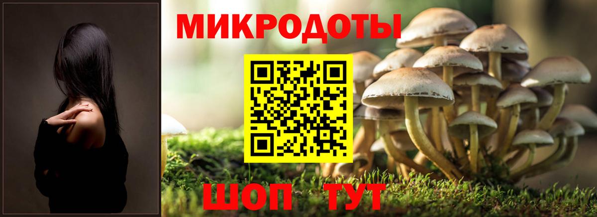 Псилоцибиновые грибы Magic Shrooms Кумертау